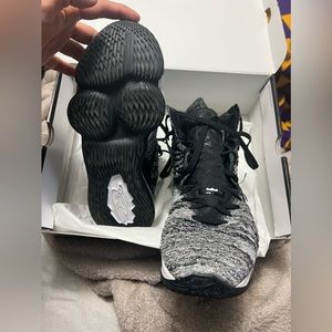 Lebron 17 ‘Man In The Arena’